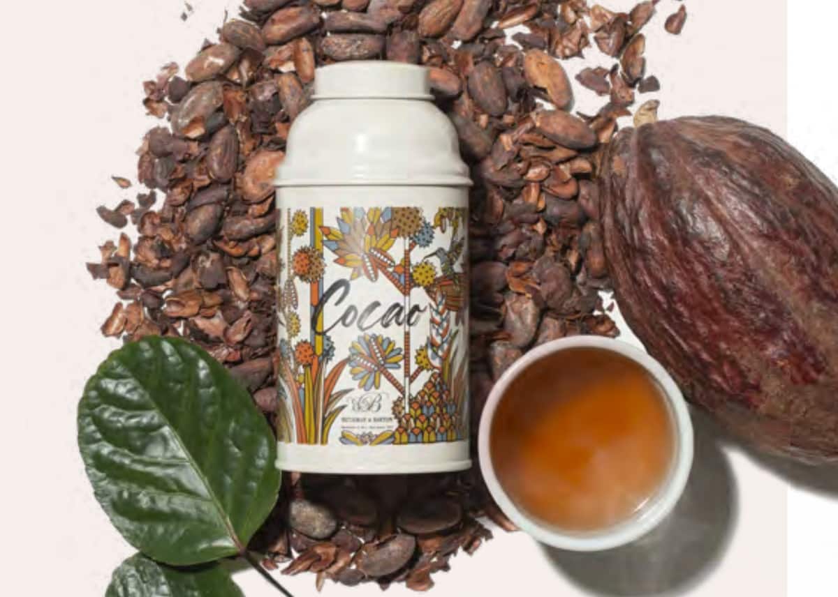 Cocao, les infusions aux fèves de chocolat