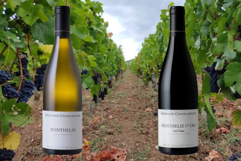 Domaine Changarnier