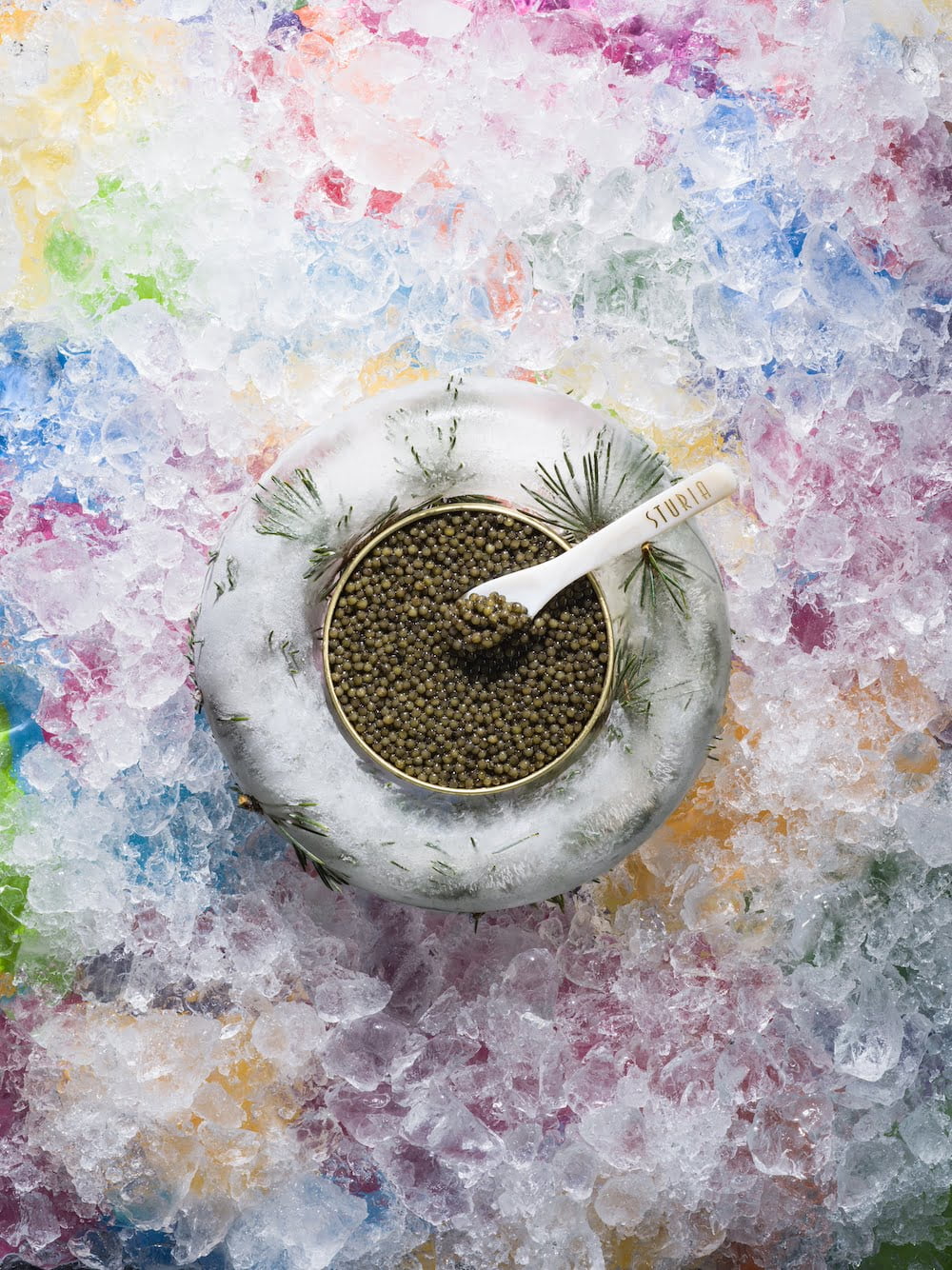 Sturia des grains transparents
