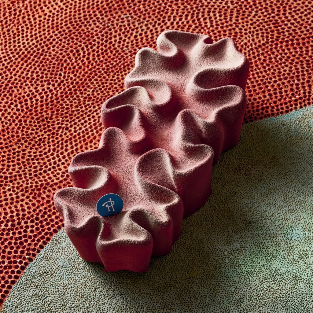 Bûche inspirée des profondeurs Pierre Hermé 