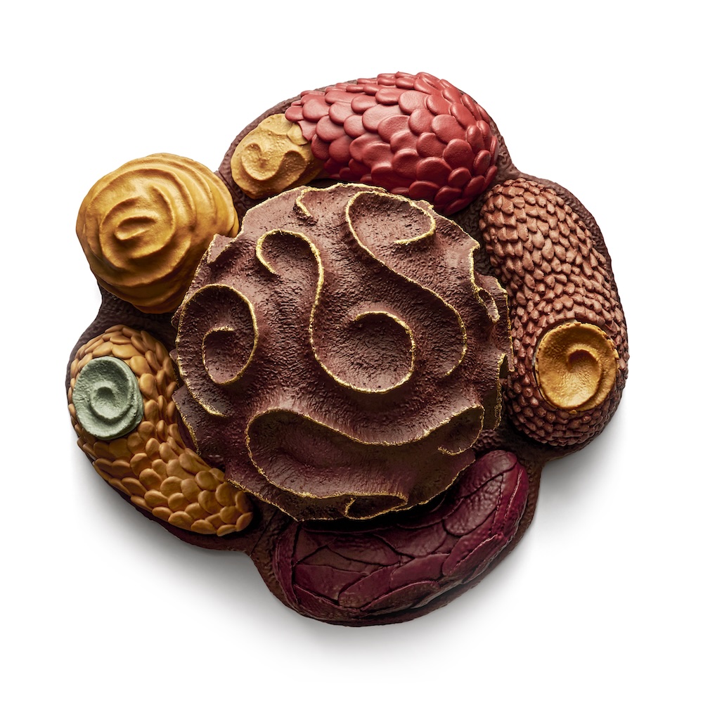 Bûche très haute pâtisserie. Comme un corail marin, signé Pierre Herma