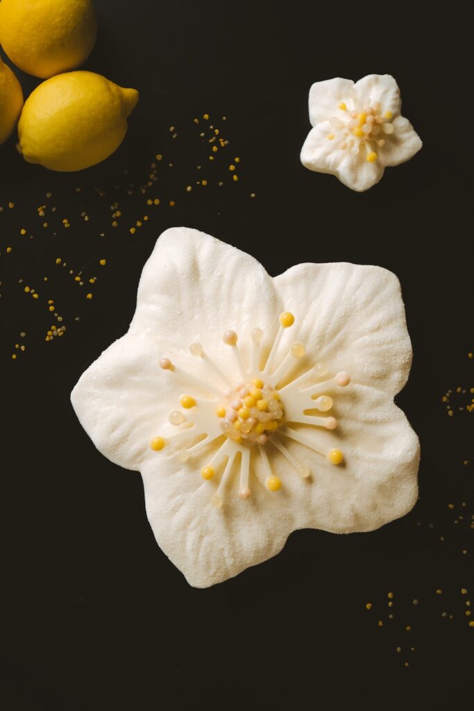 Bûche Hellébore à l’hôtel Royal Champagne
