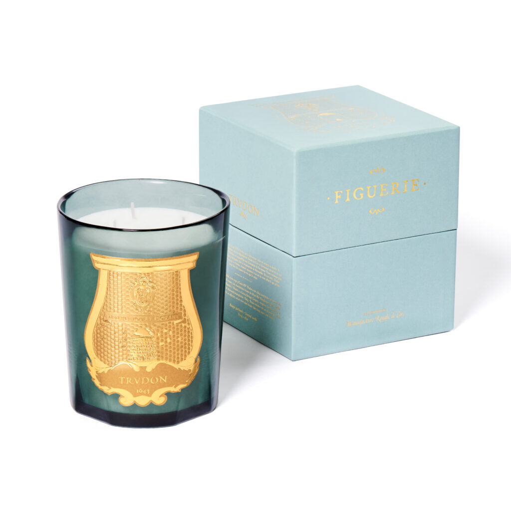 Figuerie de Trudon dans son etuit céladon